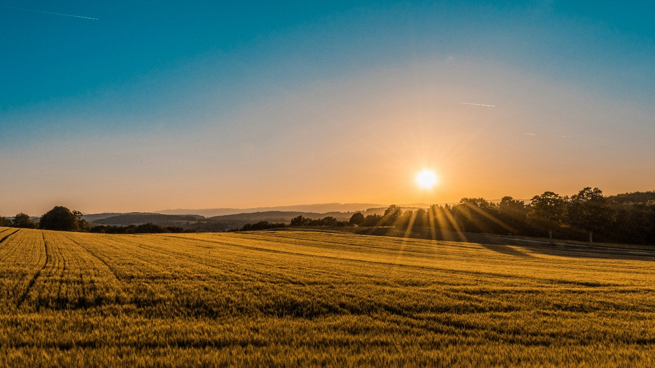 The path to Mindfulness