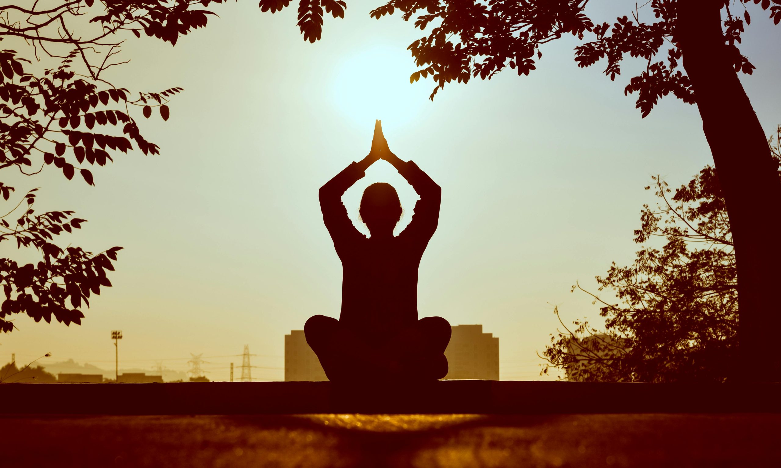 The Power of Yoga: A Holistic Path to Physical Health, Mental Peace, and Inner Strength”;;@!1~“`